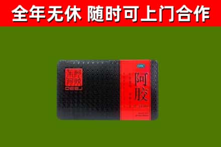 保定回收阿胶