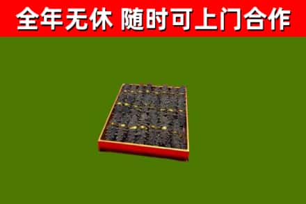 保定回收海参